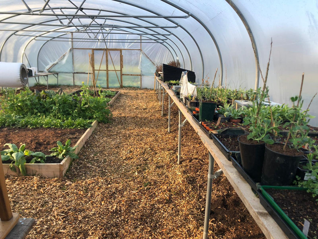 Improving Veterans Mental Health