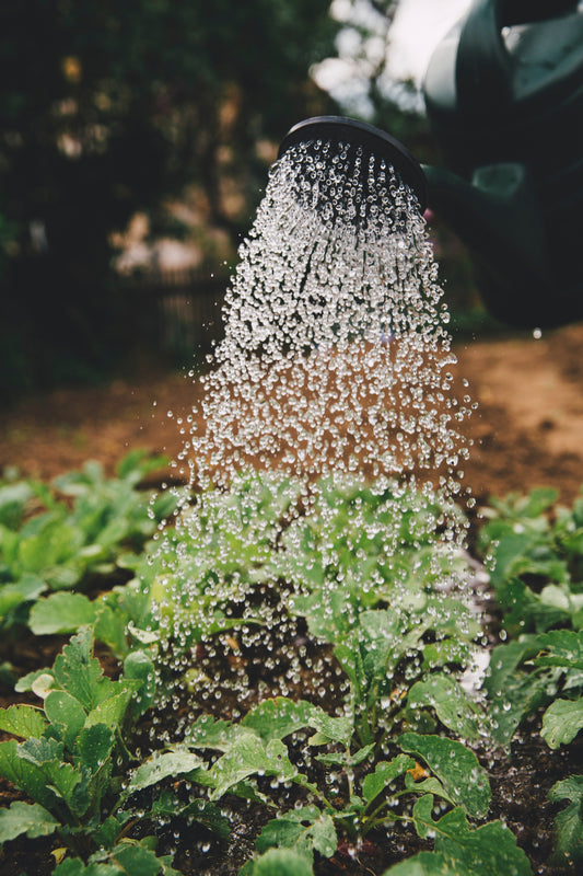 April Growing Guide