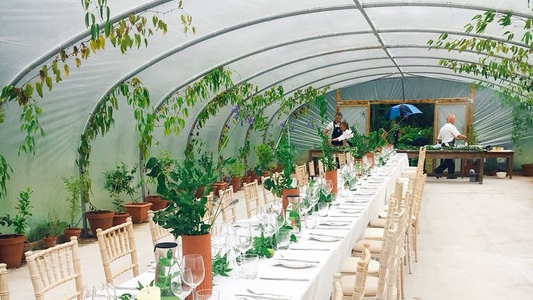 Polytunnel Wedding Ideas