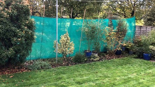 Storms in the UK: Protect Your Garden & Polytunnel