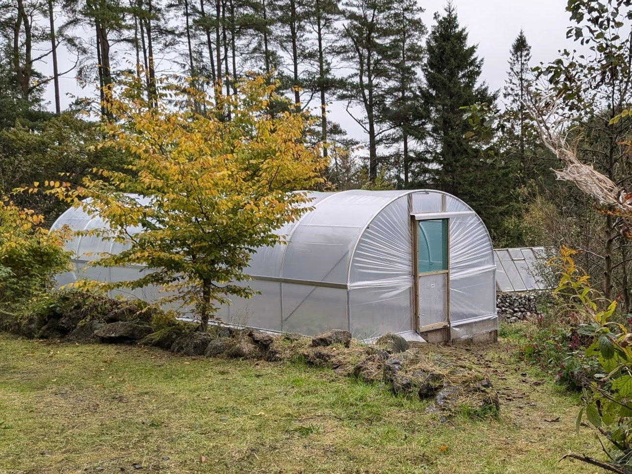 10ft (3.05m) Wide | Polytunnel