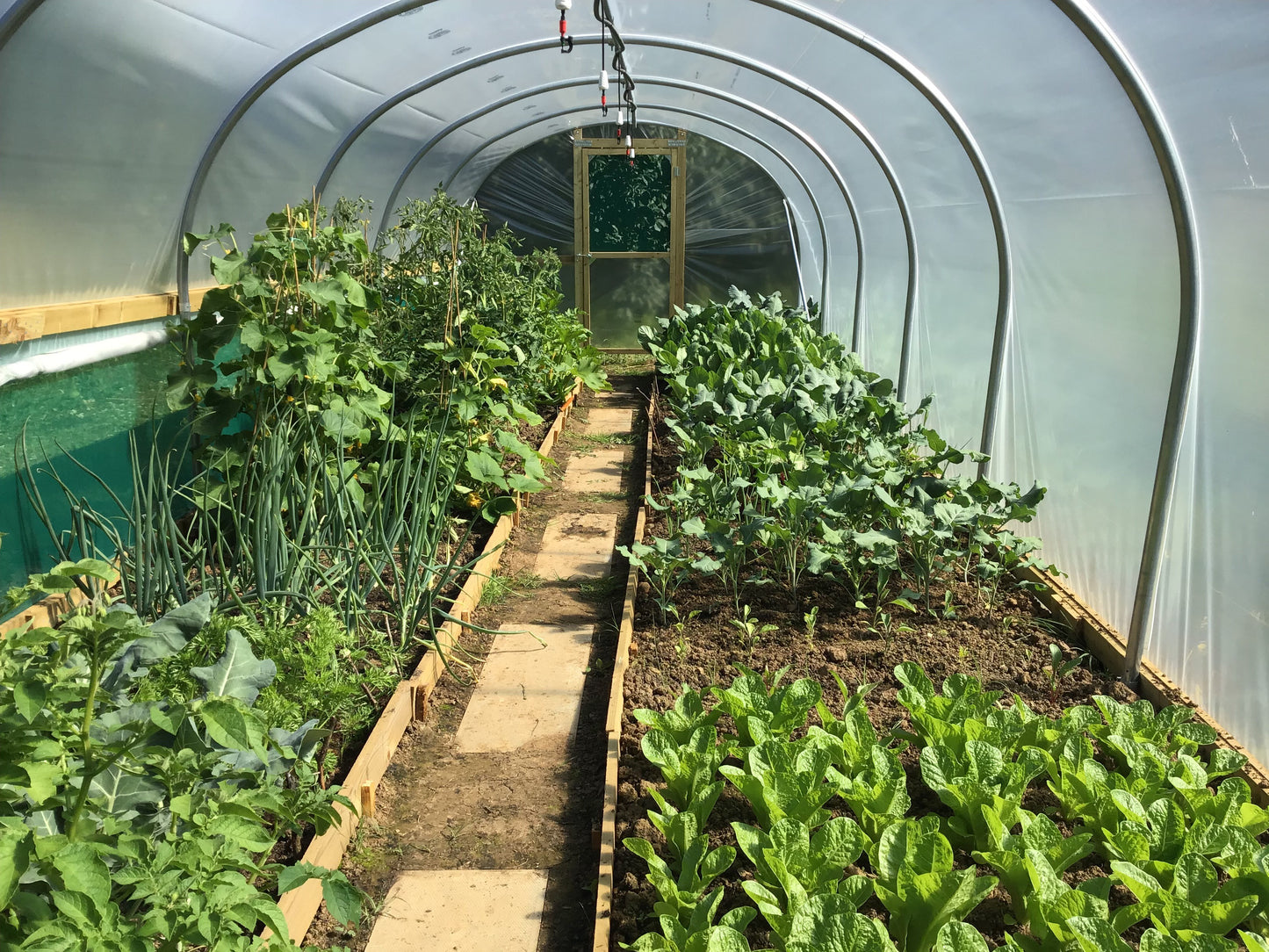 10ft (3.05m) Wide | Polytunnel