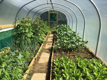 10ft (3.05m) Wide | Polytunnel