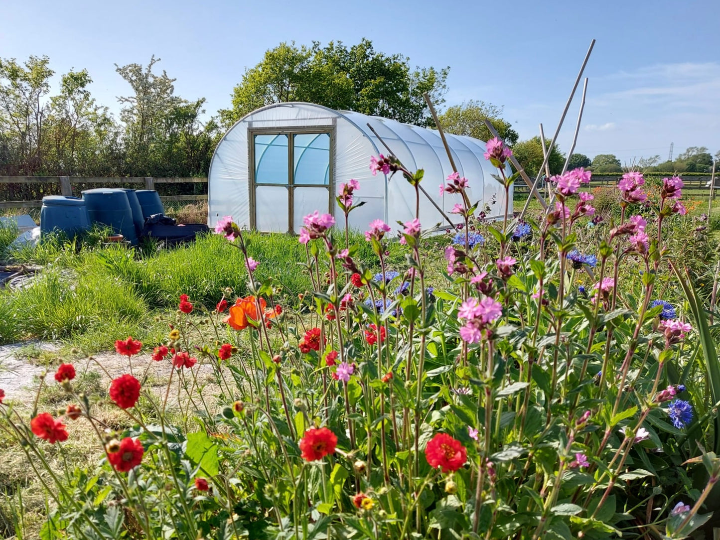 12ft (3.66m) Wide | Polytunnel