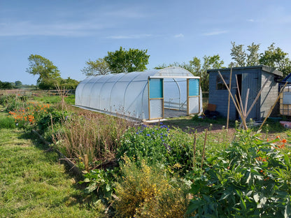 12ft (3.66m) Wide | Polytunnel
