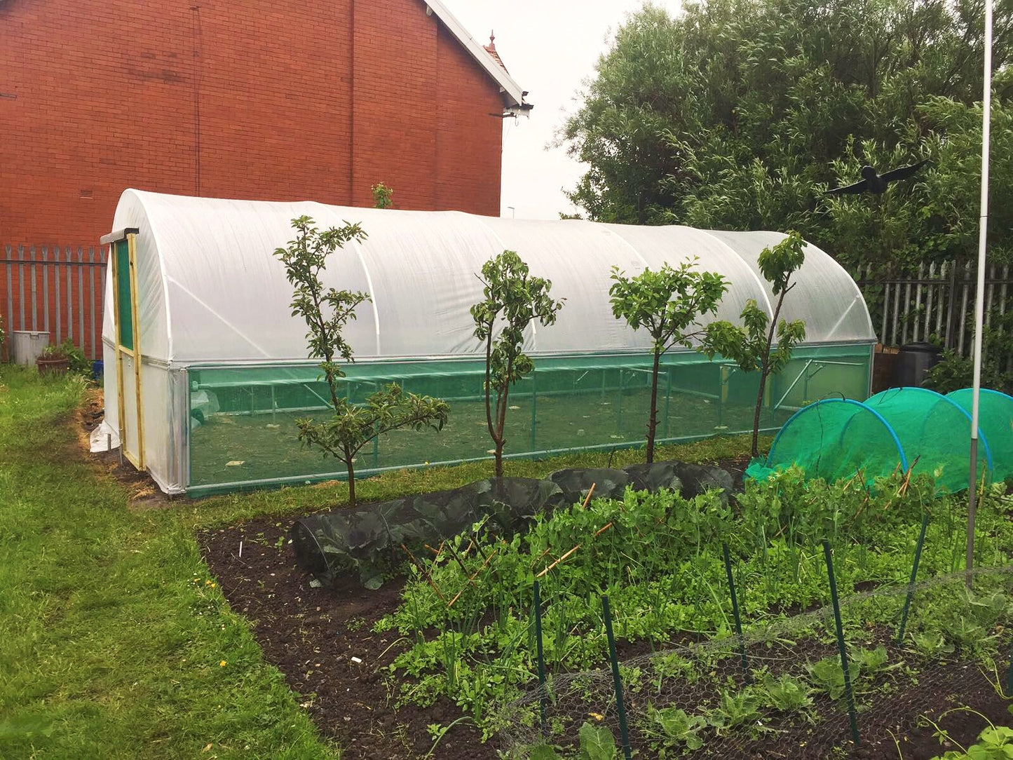 12ft (3.66m) Wide | Polytunnel