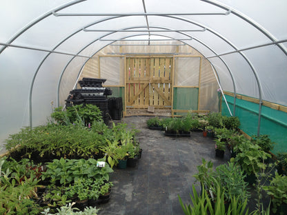 14ft (4.27m) Wide | Polytunnel