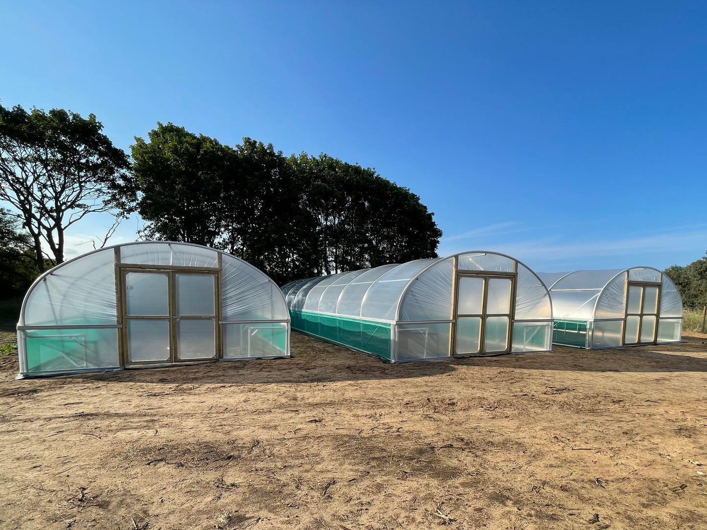 16ft (4.88m) Wide | Polytunnel