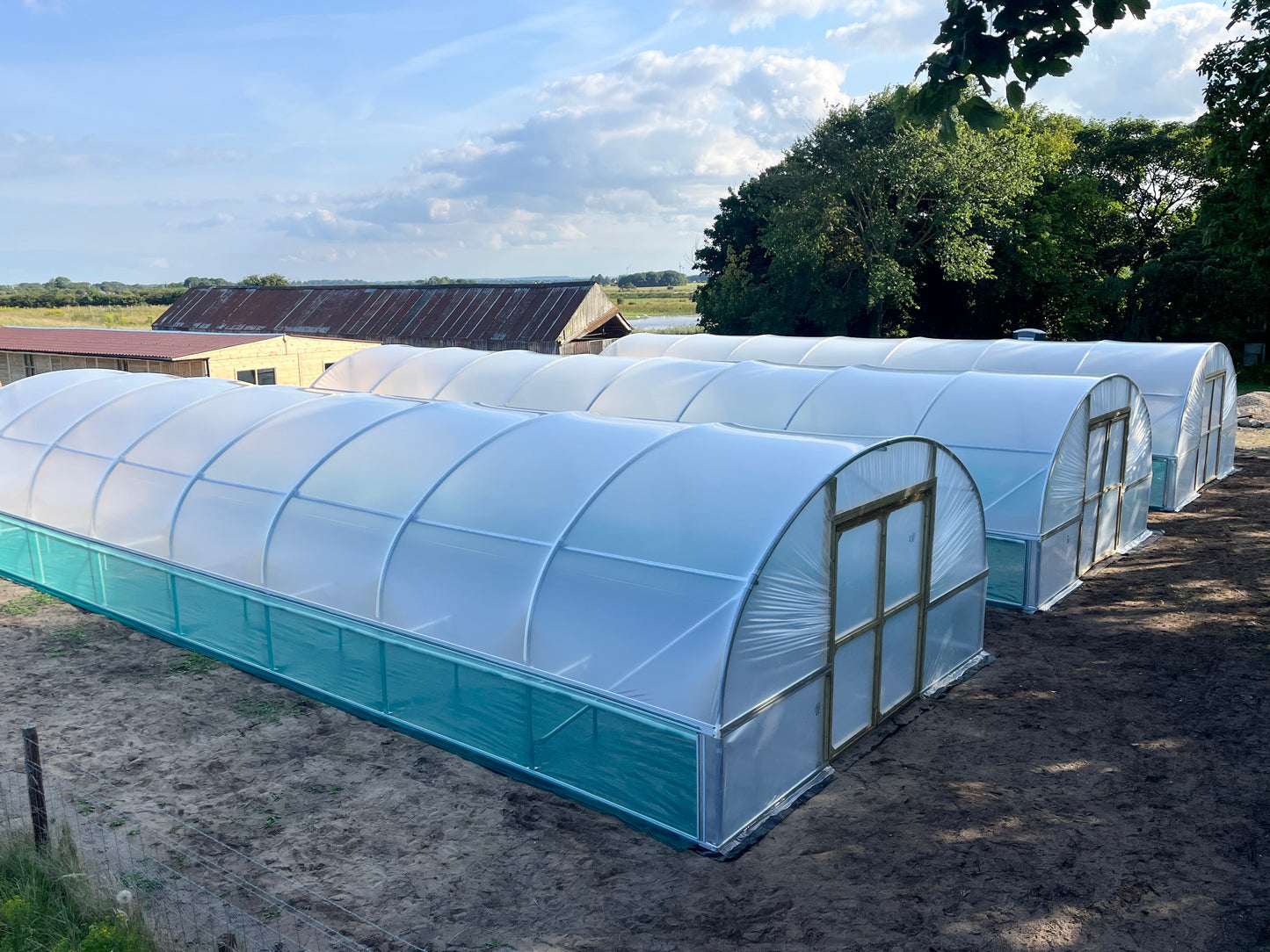 16ft (4.88m) Wide | Polytunnel
