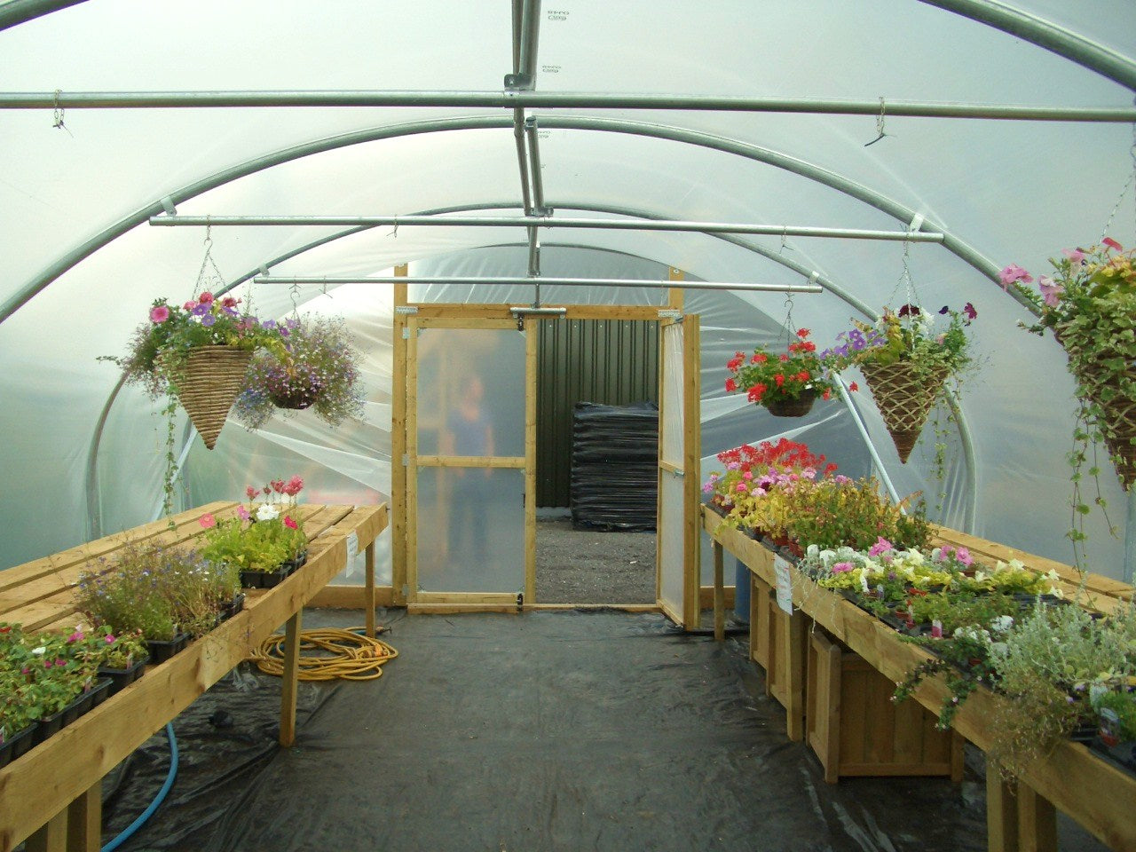 16ft (4.88m) Wide | Polytunnel