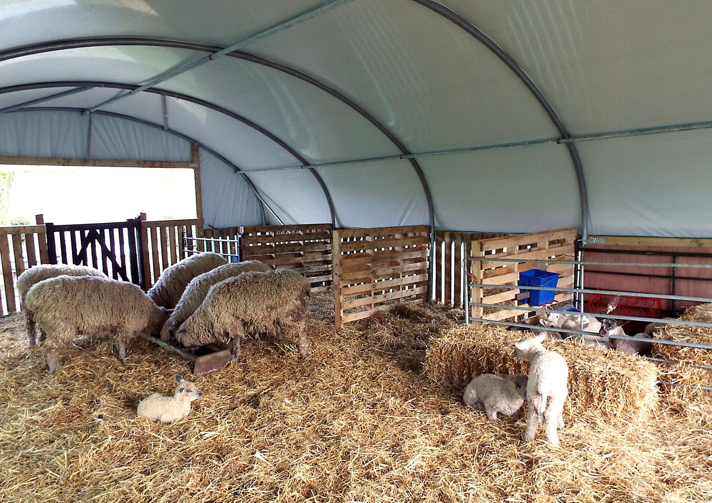 16ft (4.88m) Wide | Sheep House