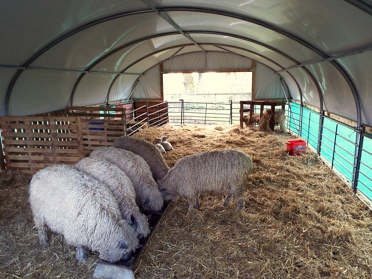 18ft (5.49m) Wide | Sheep House