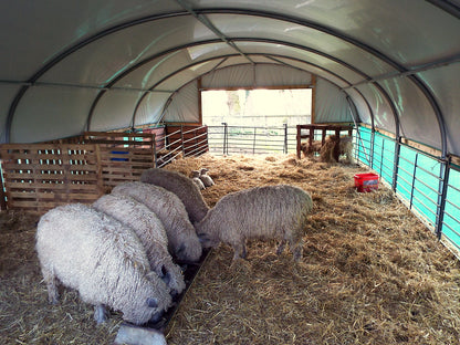 18ft (5.49m) Wide | Sheep House