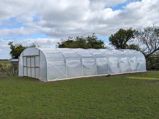 21ft (6.4m) Wide | Polytunnel
