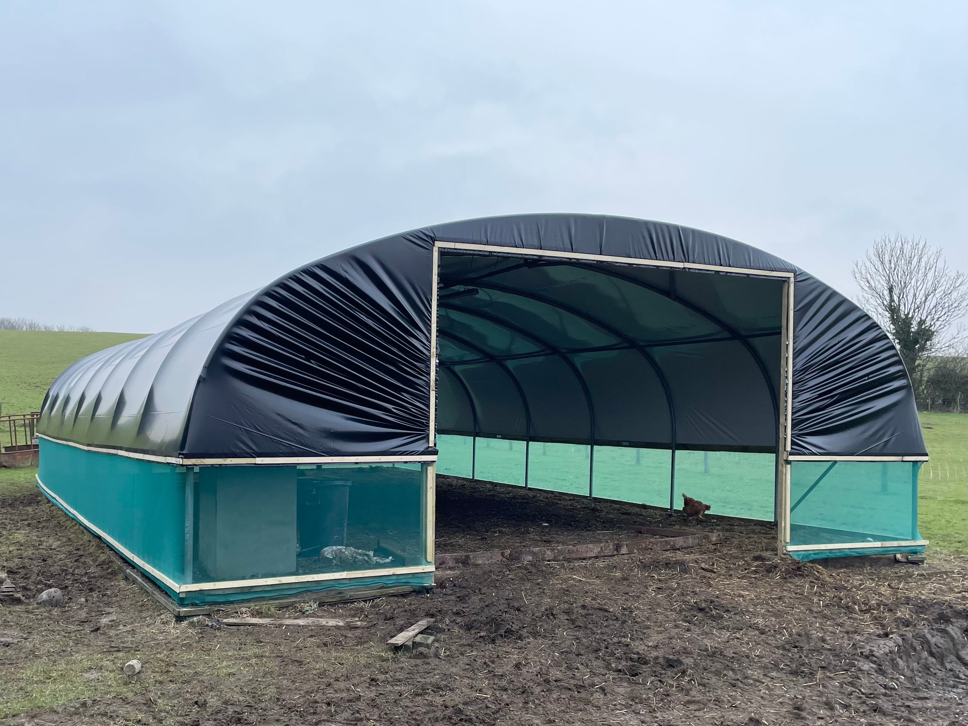 Sheep Shelter & Housing | Livestock Shelters | Premier Polytunnels