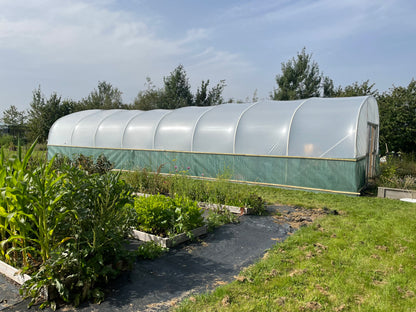 24ft (7.32m) Wide | Polytunnel