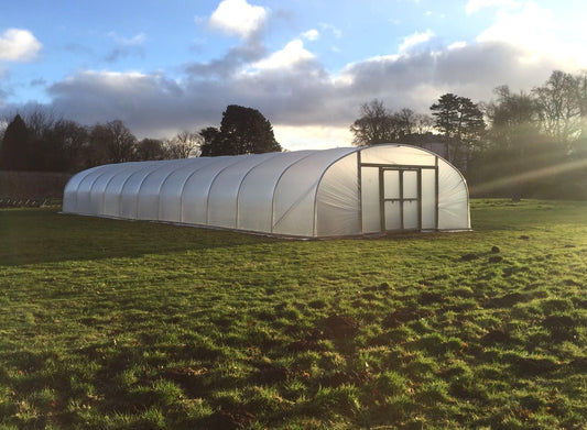 24ft (7.32m) Wide | Polytunnel