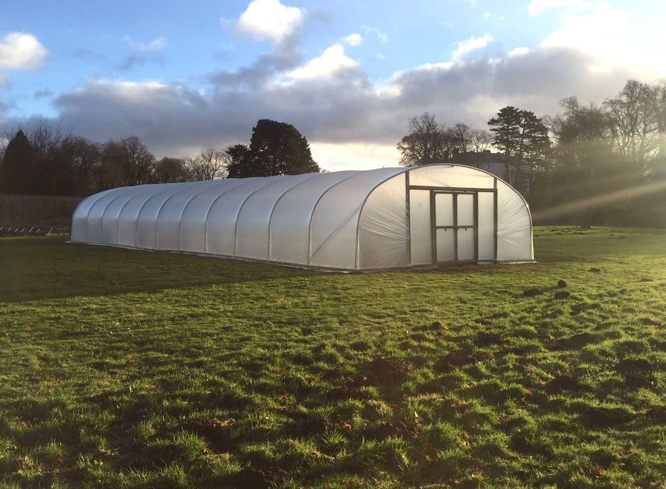 Premier Polytunnels | Garden & Commercial Polytunnel Suppliers
