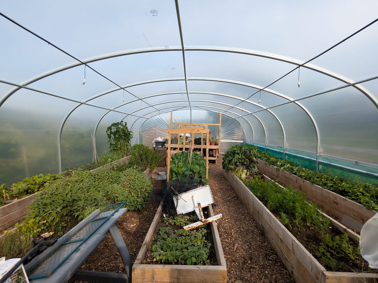24ft (7.32m) Wide | Polytunnel