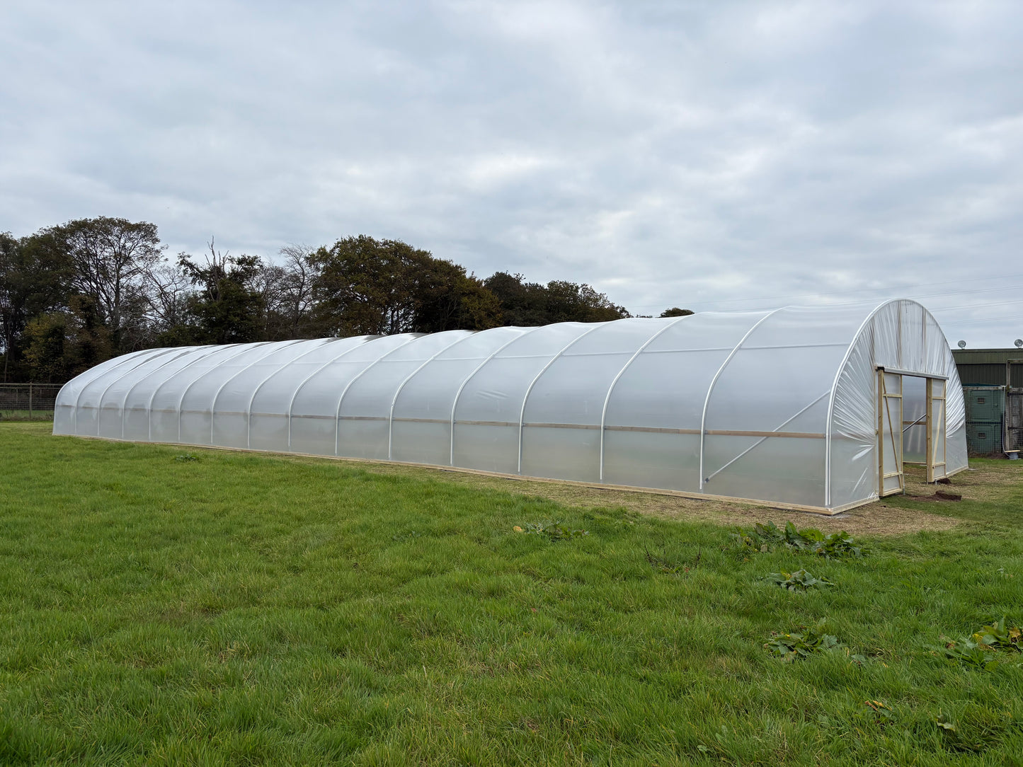 27ft (8.23m) Wide | Polytunnel