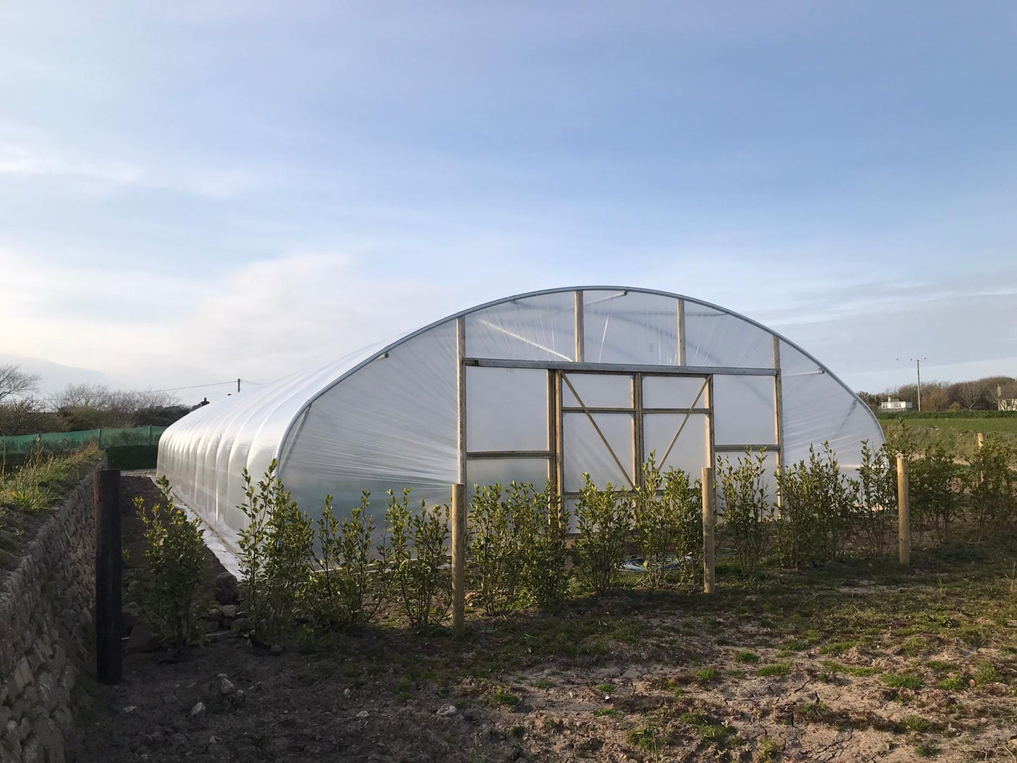 27ft (8.23m) Wide | Polytunnel