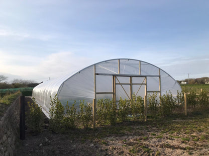 27ft (8.23m) Wide | Polytunnel