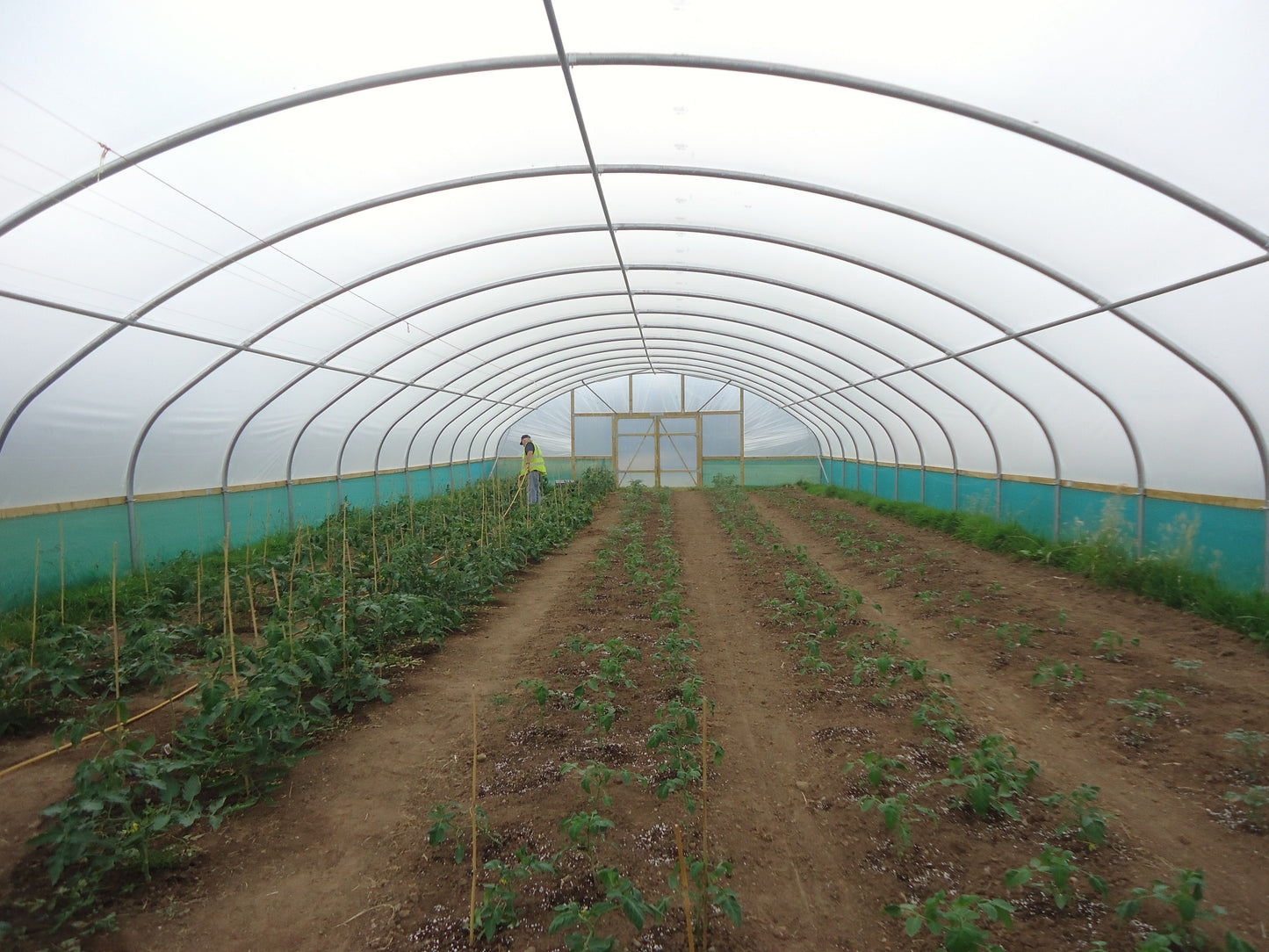27ft (8.23m) Wide | Polytunnel