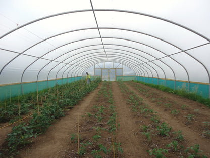 27ft (8.23m) Wide | Polytunnel