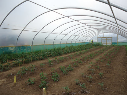 27ft (8.23m) Wide | Polytunnel