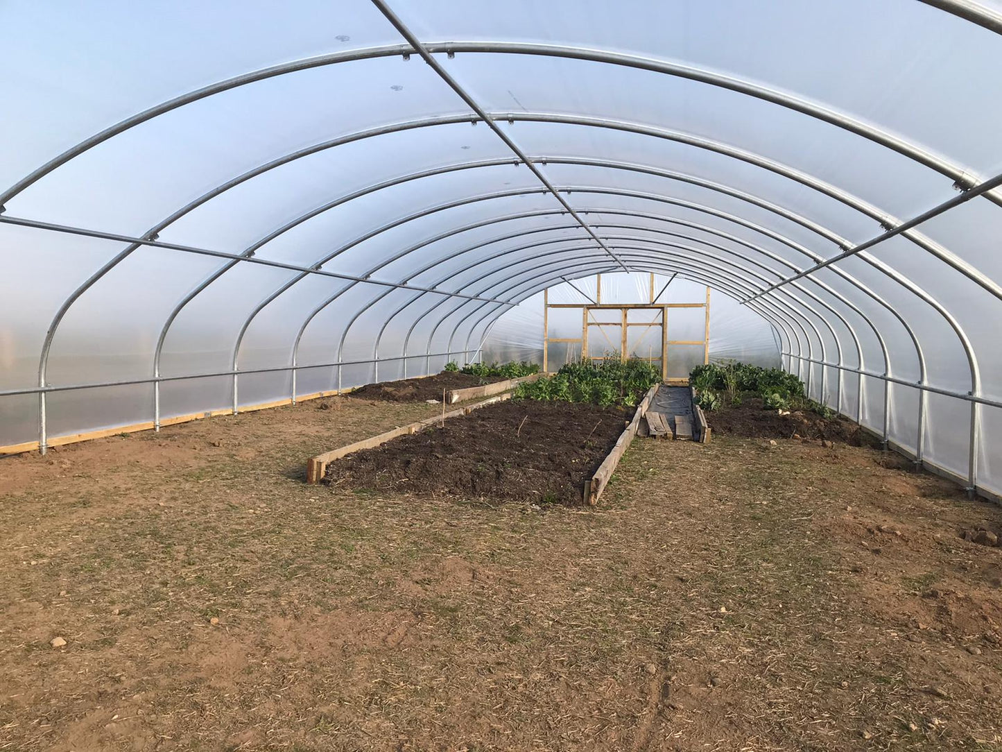 27ft (8.23m) Wide | Polytunnel