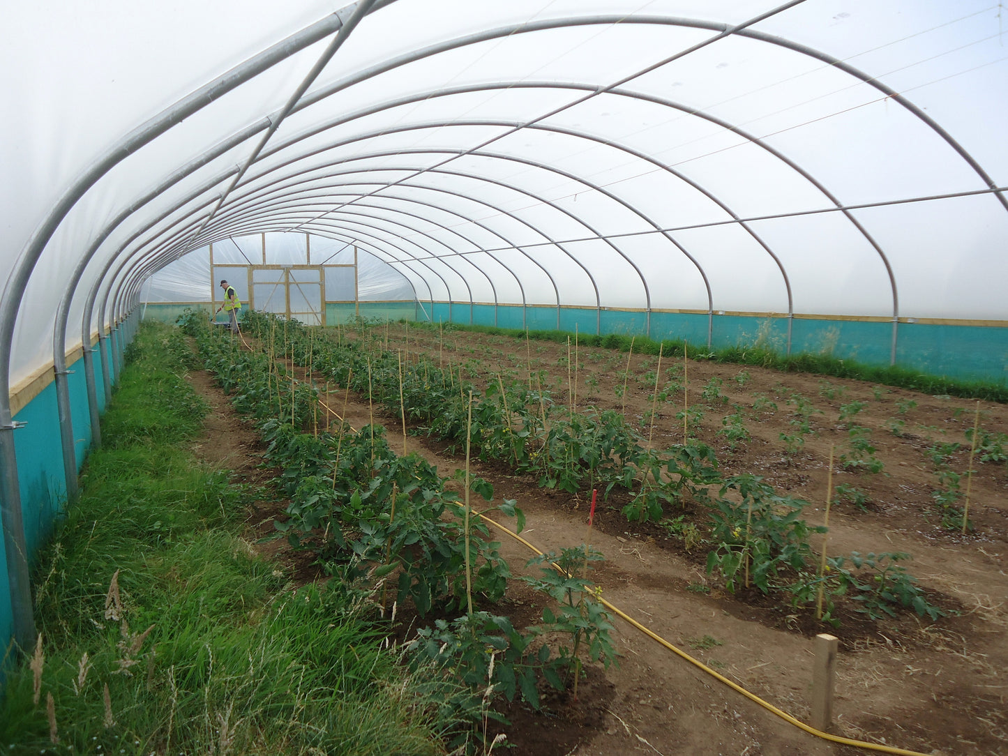 27ft (8.23m) Wide | Polytunnel