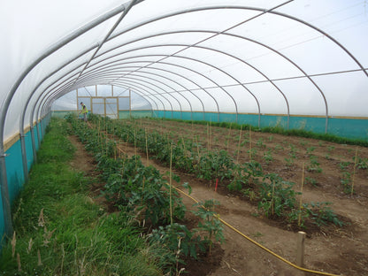 27ft (8.23m) Wide | Polytunnel