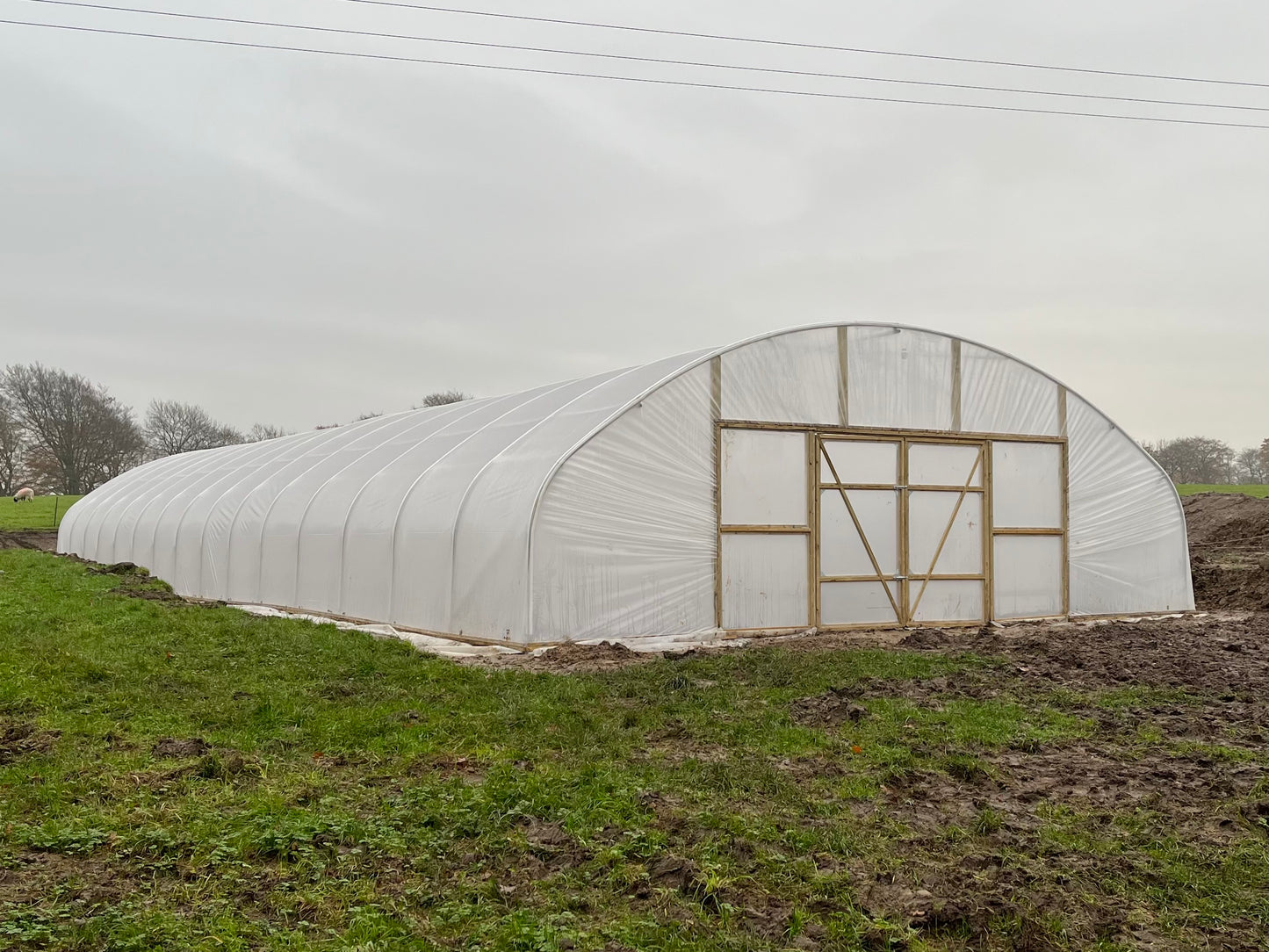 27ft (8.23m) Wide | Polytunnel