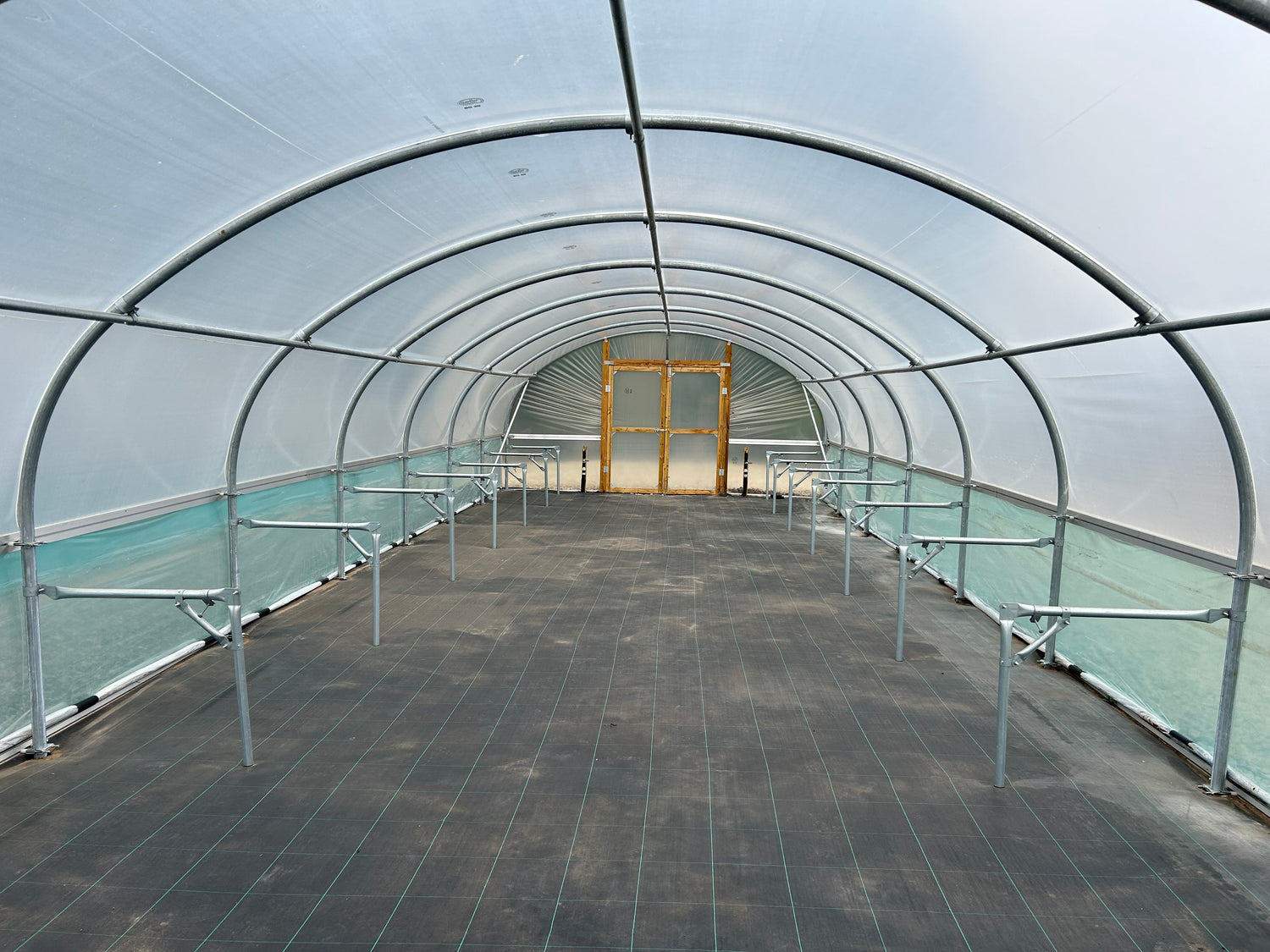 POLYTUNNELS FOR WILDER HUMBER