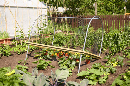 Anti Bird Net Cloche