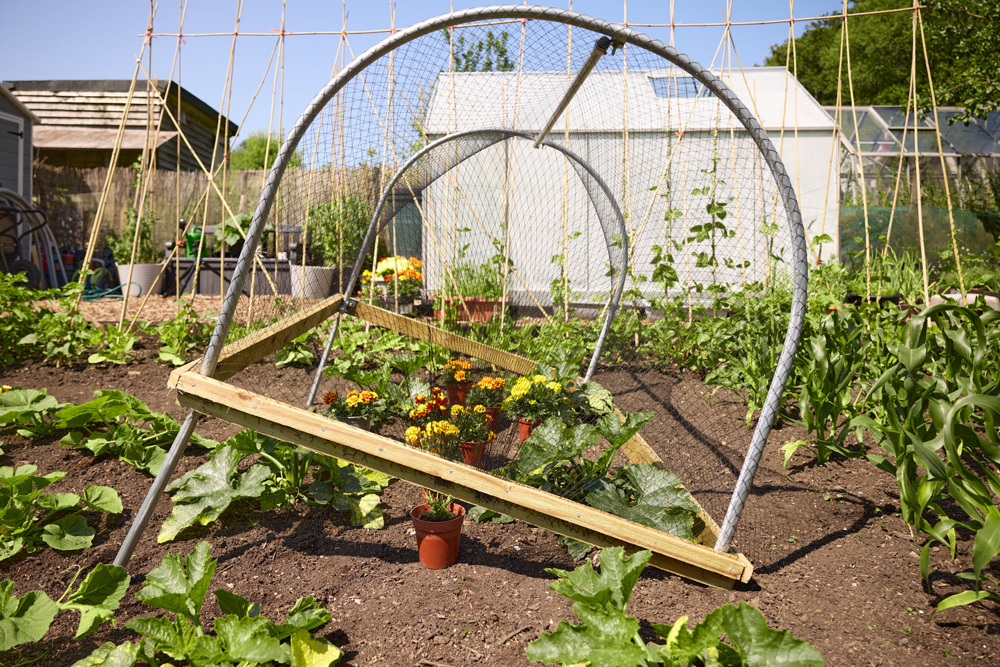 Anti Bird Net Cloche