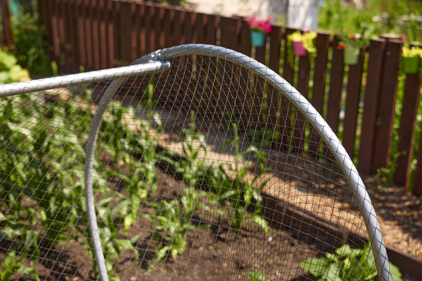 Anti Bird Net Cloche