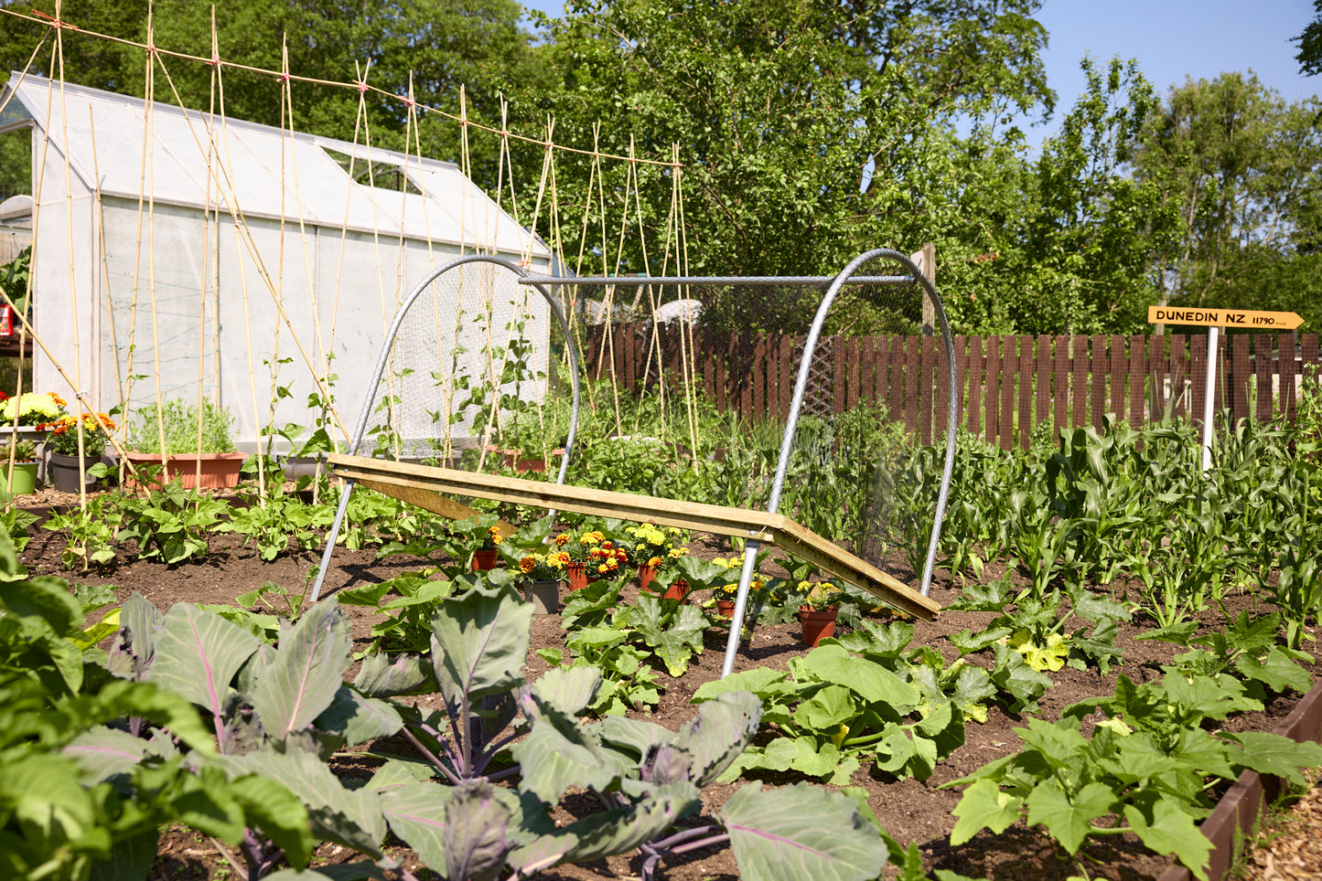 Anti Bird Net Cloche