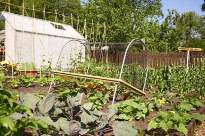 Anti Bird Net Cloche