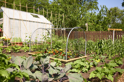 Anti Bird Net Cloche