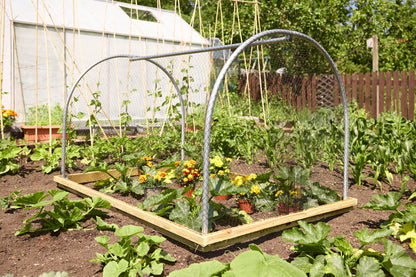 Anti Bird Net Cloche