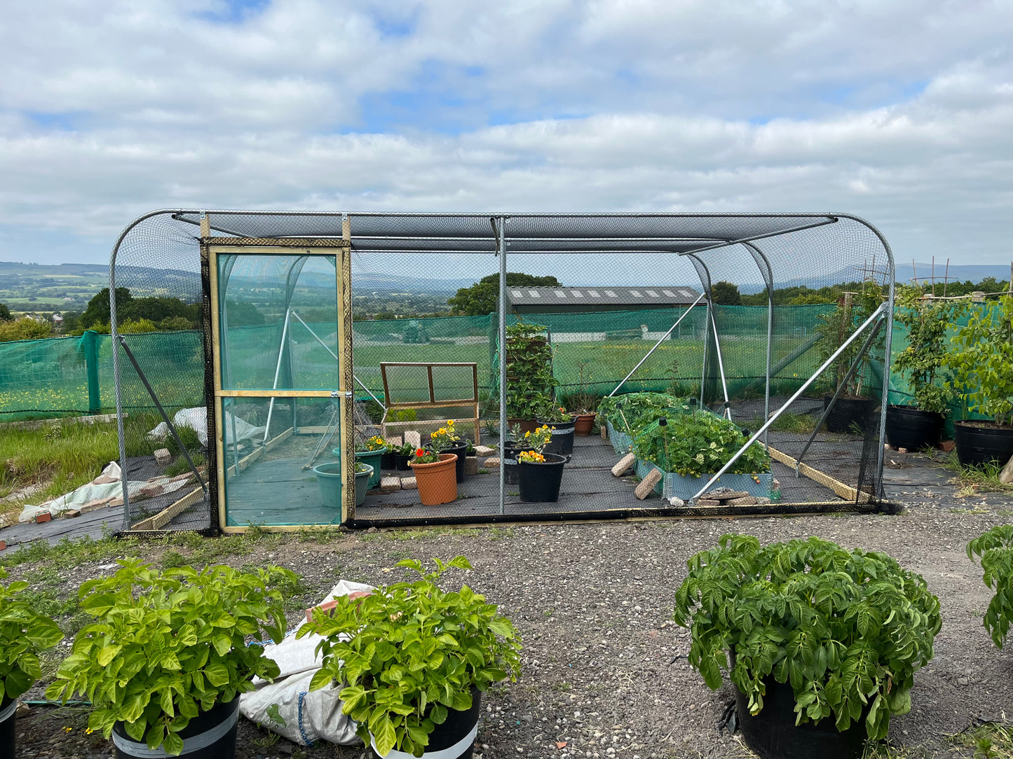 6m Wide Fruit Cage