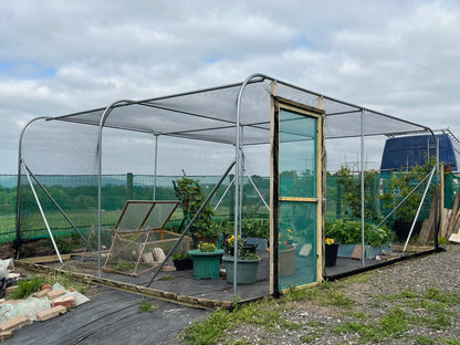 6m Wide Fruit Cage