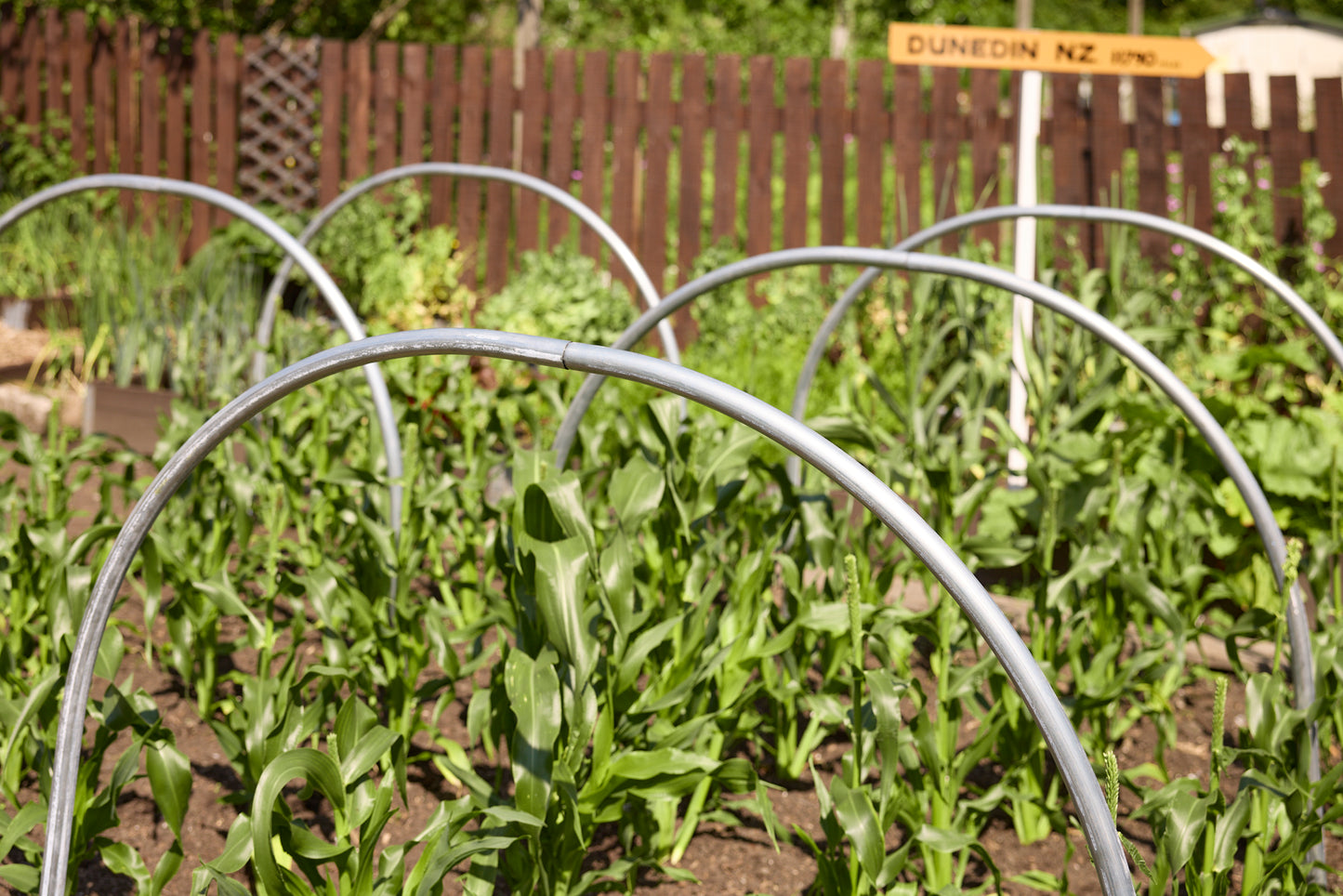 Individual Cloche Hoops