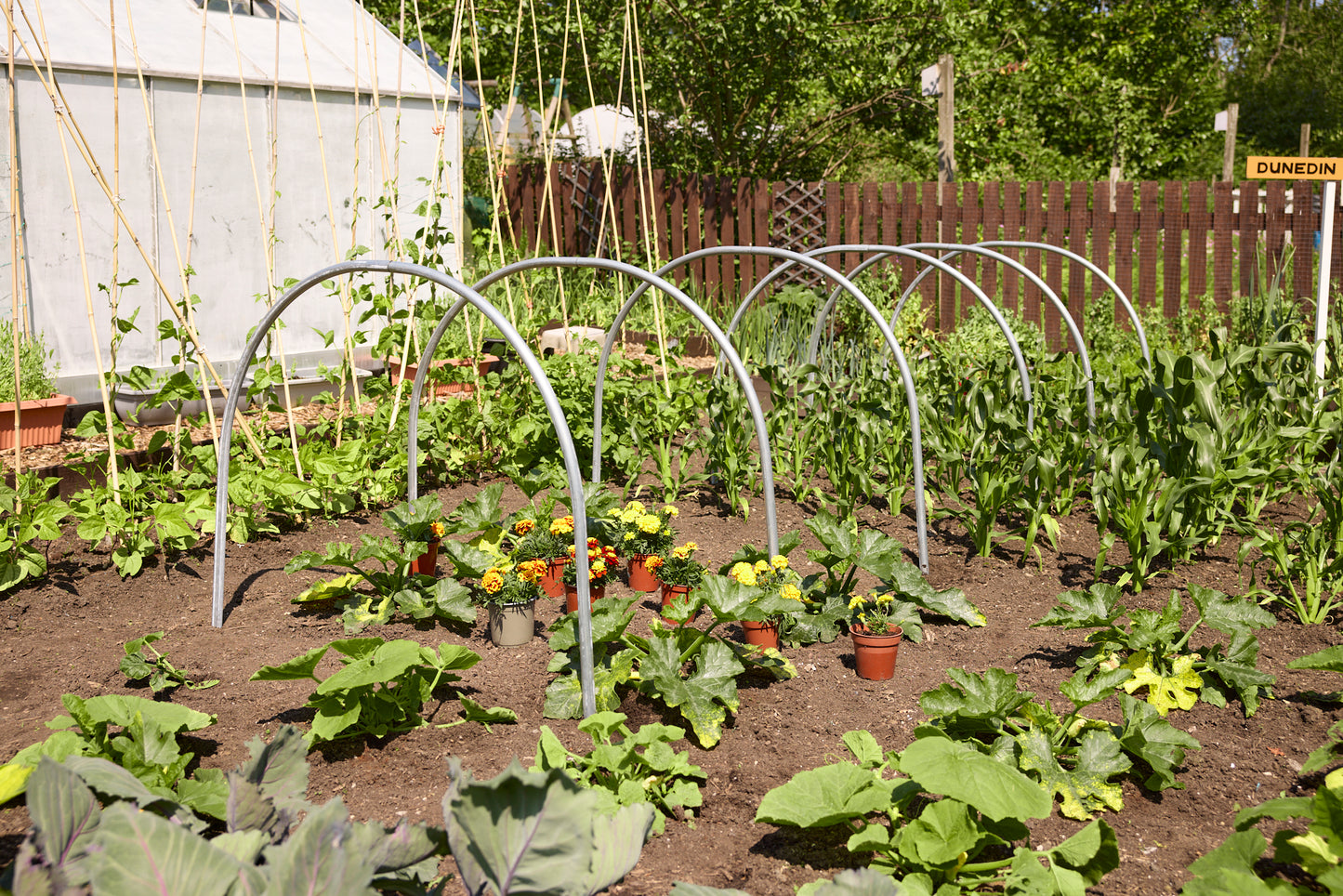Individual Cloche Hoops