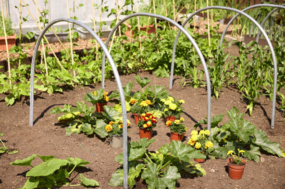 Individual Cloche Hoops