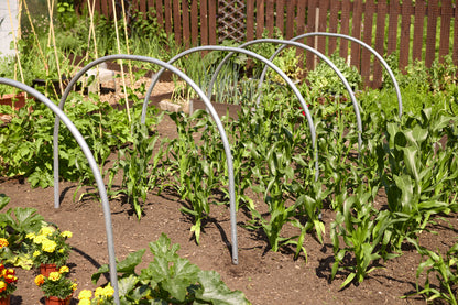 Individual Cloche Hoops