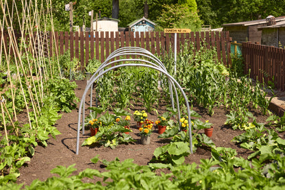 Individual Cloche Hoops