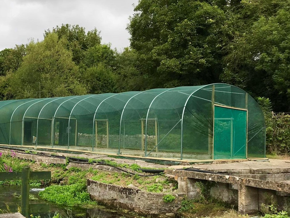 Polyweb Netting Mesh Netting Covers | Green Garden Netting | Premier Polytunnels