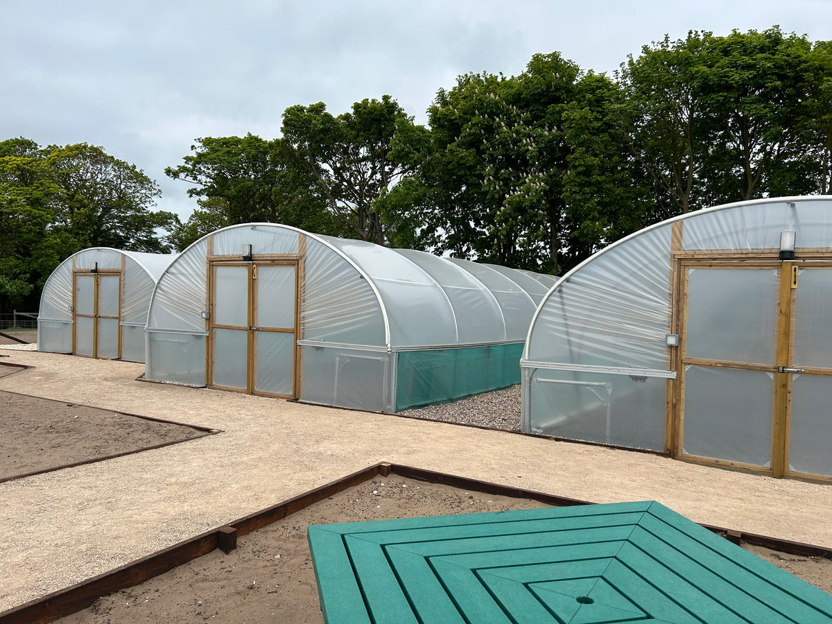 POLYTUNNELS FOR WILDER HUMBER